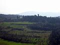Fiesole - Parco di Montececeri-27
